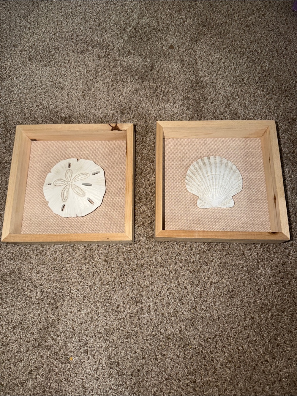 Hobby Lobby Beige Framed Sea Shell & Sand Dollar Wall Art Set